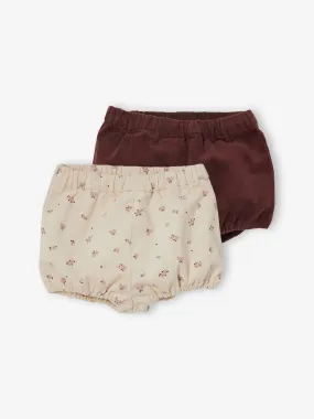 Lot de 2 bloomers bébé fille en velours bordeaux/beige aop - Vertbaudet